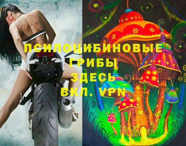 прущая мука Абаза
