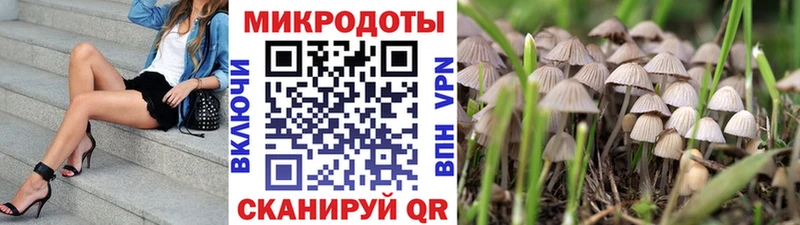 Галлюциногенные грибы Psilocybe  Ханты-Мансийск 