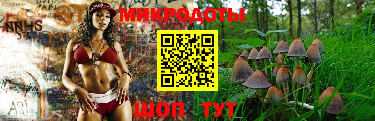 Псилоцибиновые грибы Psilocybine cubensis Ханты-Мансийск