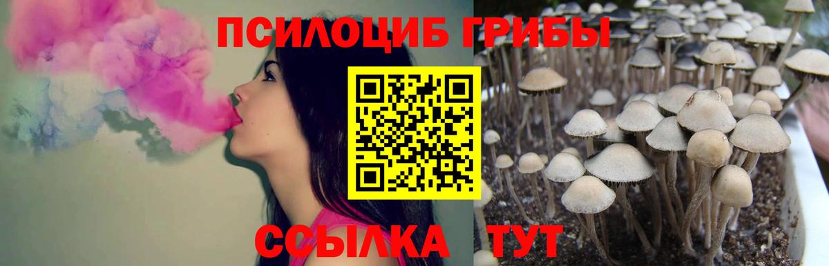 Галлюциногенные грибы Psilocybine cubensis  Вход с VPN  Ханты-Мансийск  Псилоцибиновые грибы мухоморы 